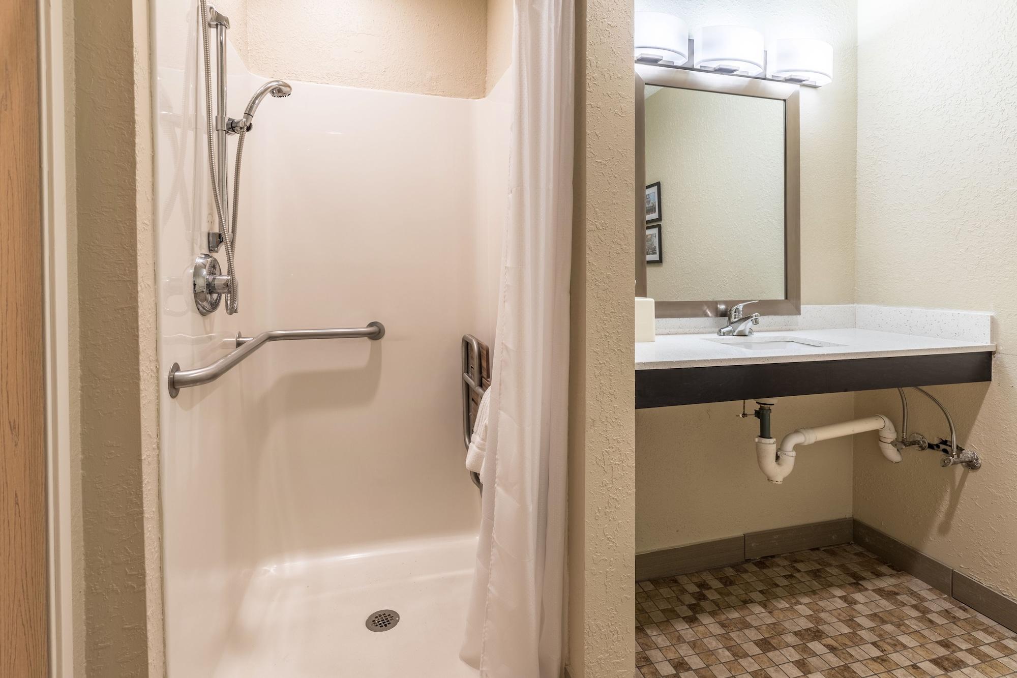 Comfort Inn Downtown Ντητρόιτ Εξωτερικό φωτογραφία
