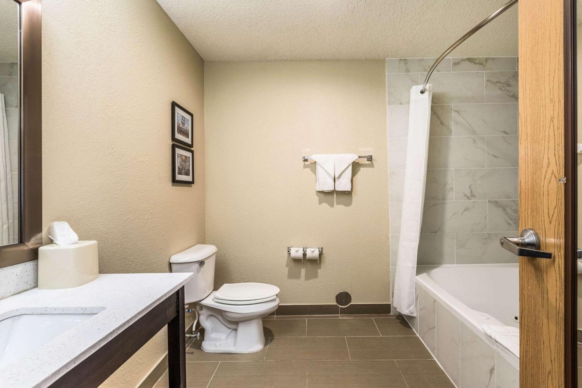 Comfort Inn Downtown Ντητρόιτ Εξωτερικό φωτογραφία