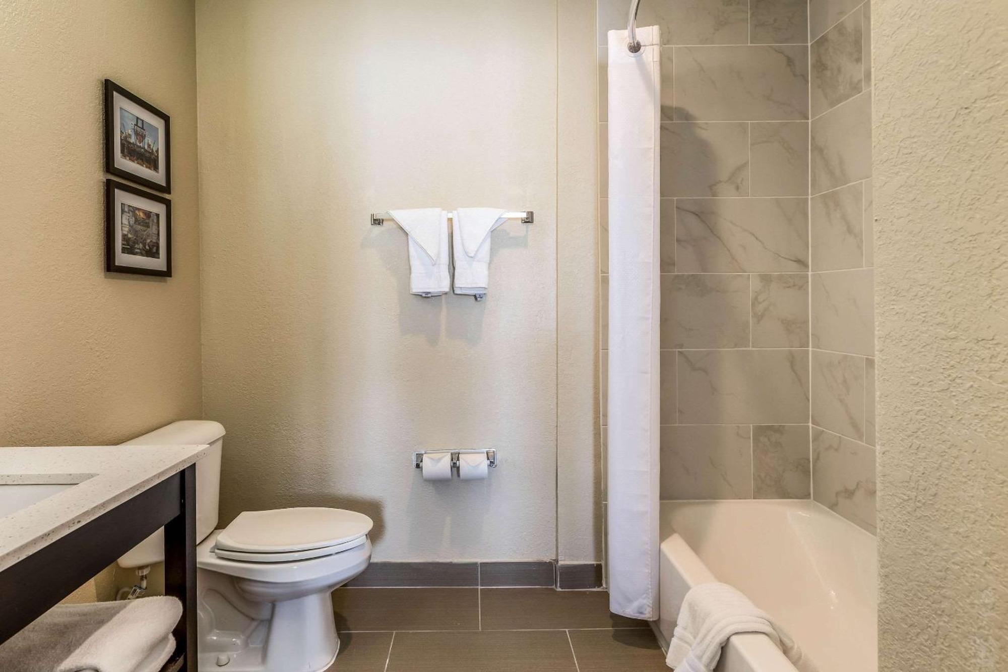 Comfort Inn Downtown Ντητρόιτ Εξωτερικό φωτογραφία