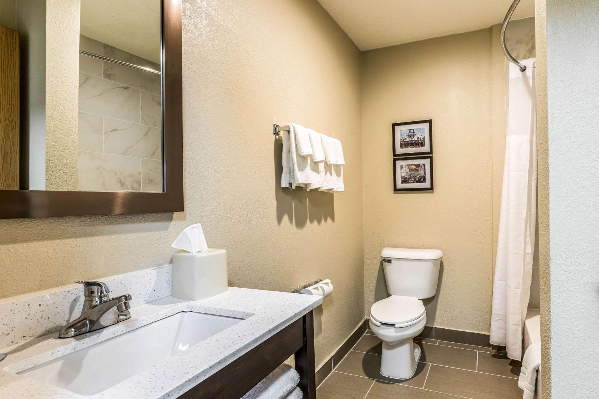 Comfort Inn Downtown Ντητρόιτ Εξωτερικό φωτογραφία