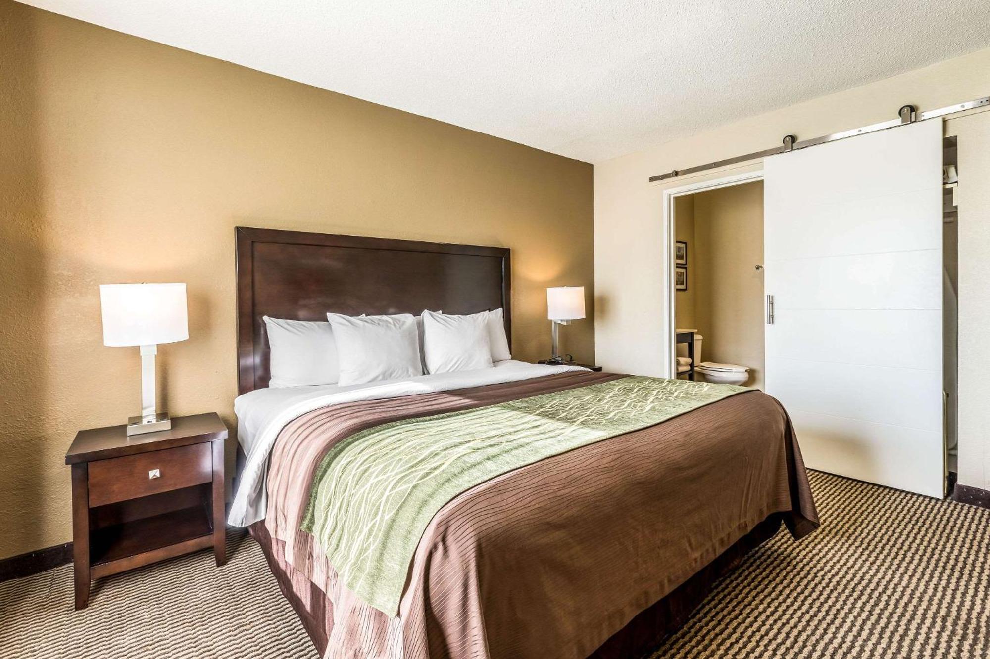 Comfort Inn Downtown Ντητρόιτ Εξωτερικό φωτογραφία
